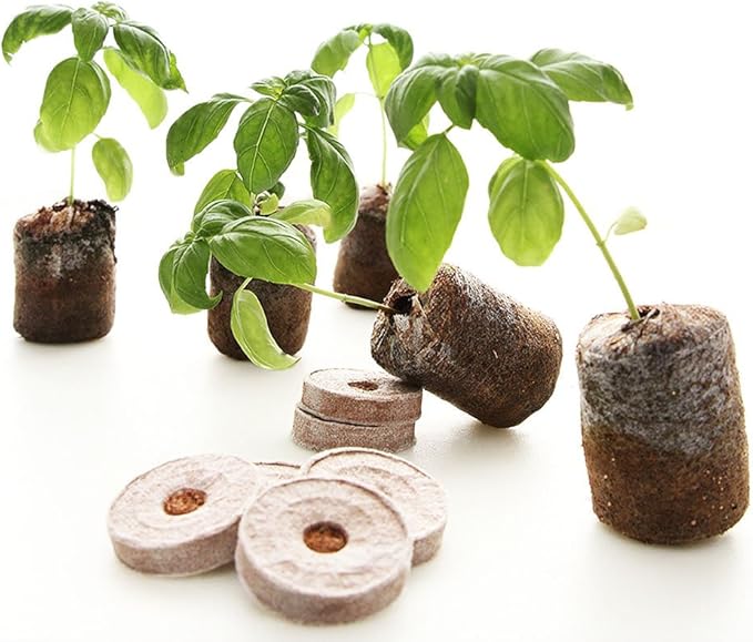 Culinary Herb Garden Kit – 10 Herb Seeds for Planting Indoors or Outdoors + 8 Soil Pucks – Basil, Cilantro, Lavender, Rosemary, Thyme & More