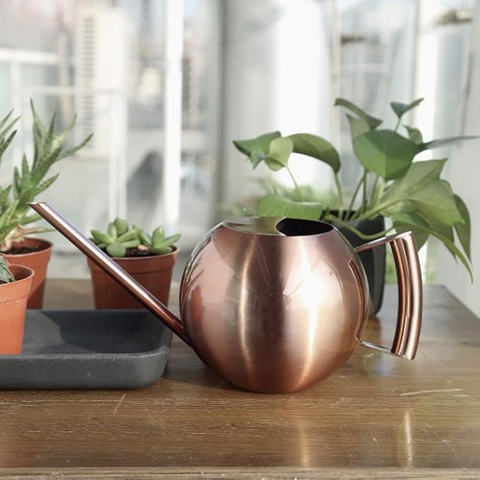Watering Can with Long Spout and Comfortable Handle, 35 oz/1000ml Small Watering Can for Indoor Plants, Stainless Steel Garden Watering Pot for Indoor House Plants Bonsai Flower Decorative