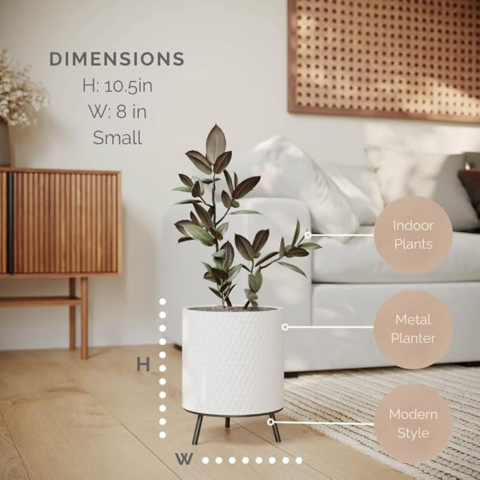 EverNest Claire Honeycomb Neutral Modern White Planter with Nyra Stand, Indoor Plant Pots, SelectBase, Mid-Century Modern, Boho Style Home Decor for Plants (Small, Black)