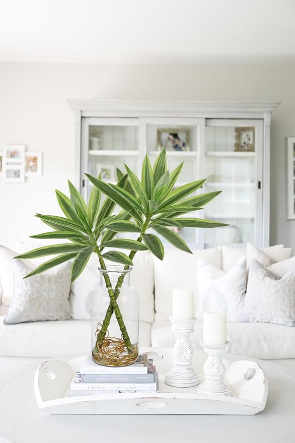 Artificial Plants Stems in Glass Vase with Faux Water,Fake Silk Plant Dracaena Leaves for Centerpiece Table Decorations Farmhouse Wedding Home Greenery Decor (Green and Yellow)