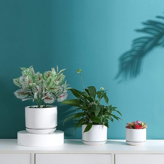Yishang Succulent Plant Pots,6.7+5.3+4.1 in Glazed Ceramic Planters with Connected Saucers, Round Modern Ceramic Flower pots - Small to Large Sized Plant pots for All House Plants(Matte White)