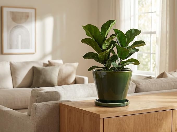 Glazed Gradient Color Ceramic Planter with Drainage Hole & Saucer for Indoor Tropical Plants, Green Reactive Glaze Plant Pot (Emerald Green, 8")