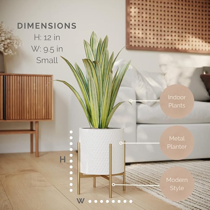EverNest Claire Mid-Century Modern White Planter and Stand, Indoor Plant Pot, SelectBase, Minimalist Aesthetic, Home Decor for Plants - (Gold Base, Small)