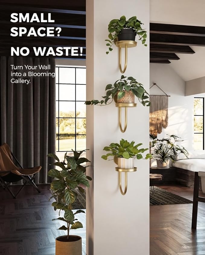 Bamworld Wall Plant Holder Wall Planters for Indoor Plants Plant Hanger Indoor Window Plant Shelves Hanging Plant Holder Window Plant Hanger Plant Decor Golden 3pcs