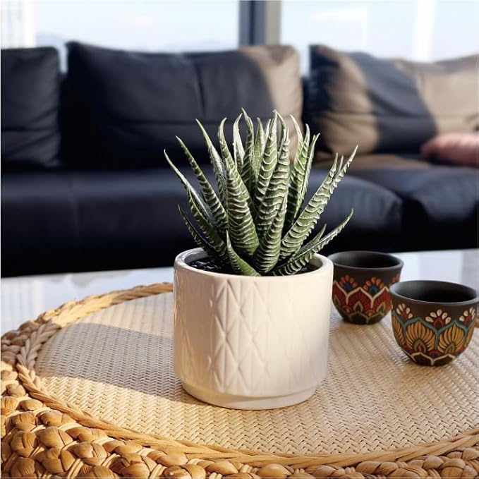 Jahe Aloe Plant Artificial Plants Indoor, 6.7'' High Faux Plants Indoor, Realistic Looking Artificial Succulent in Ceramic Pot, As a Gift for Women, Suitable for Room, Bathroom, Living Room, 1 Pack