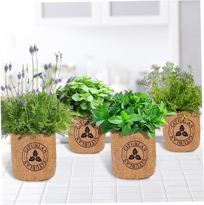 Herb Seed Growing Kit Herb Garden Starter Kit DIY Grow Indoor Garden Set for Home Plant Starters Balcony