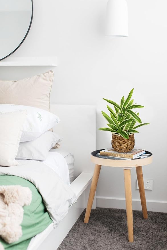 Fake Plants Dracaena Artificial Plant Realistic Faux Plants in Woven Pot Small Indoor Plants Fake Potted Plants 12.6" Artificial Decor for Home Living Room Bathroom Office House Table Desk Shelf