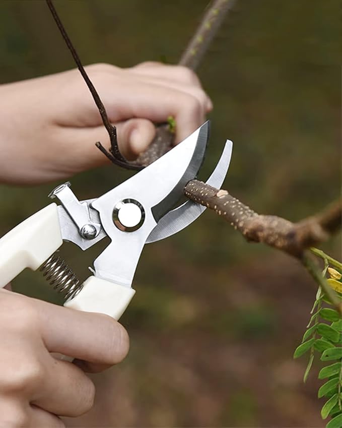 Pruning Shears for Gardening, 12 Pcs Garden Shears, Flower Scissors Clippers Hand Tools for Plant,Cutting Flowers, Bonsai and Fruits