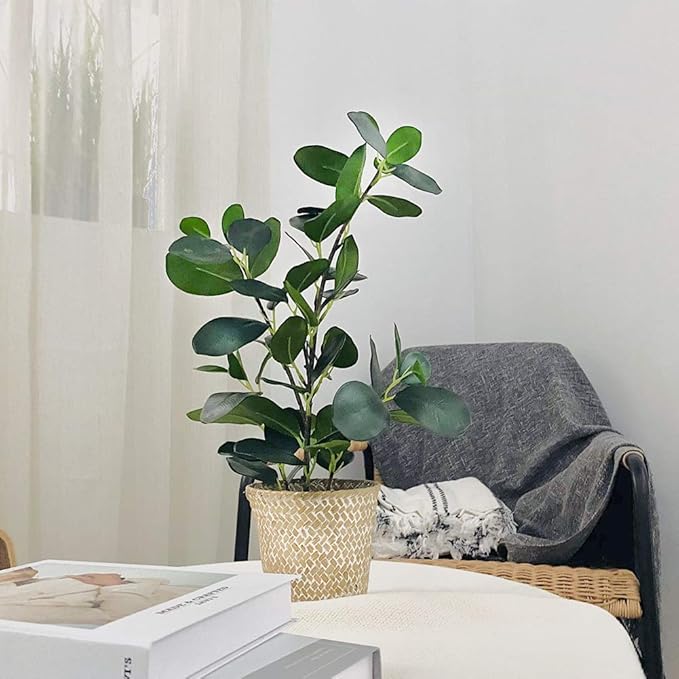 SAROSORA Artificial Ficus Tree Small Fake Plants in Weaved Pot 20" Height for Living Room Desktop Decor Indoor Home Office Ins Style (Green, 1)