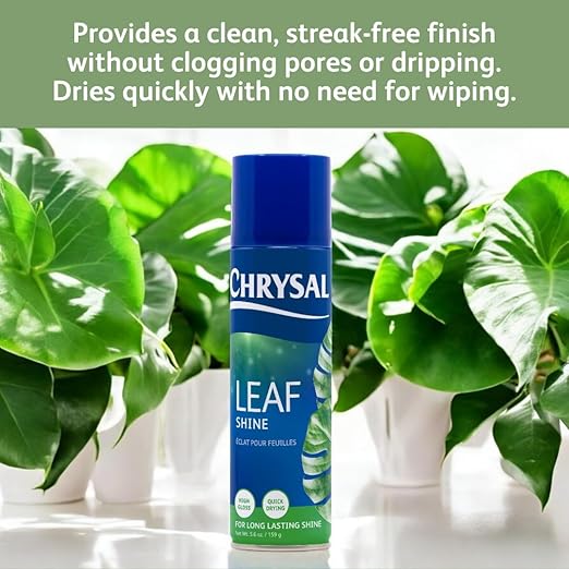 Chrysal Leaf Shine Spray for Indoor Plants – Flower Arrangement Spray for Flower Bouquets, House Plants, & More – Environmentally Safe Plant Cleaner Removes Dust – Flower & Gardening Supplies (2 Pack)