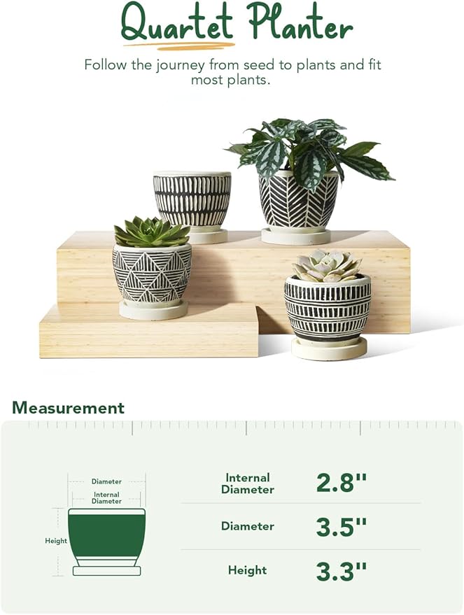 LE TAUCI 3 Inch Boho Succulent Pots, Artisanal Small Succulent Planters, Cement Small Plant Pots for Plants, Box for Mom, Women, Set of 4, Black and Cream White