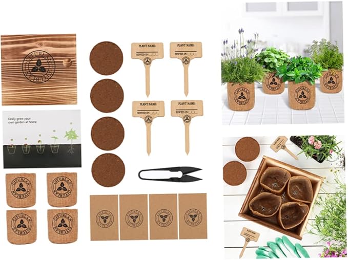 Herb Seed Growing Kit Herb Garden Starter Kit DIY Grow Indoor Garden Set for Home Plant Starters Balcony