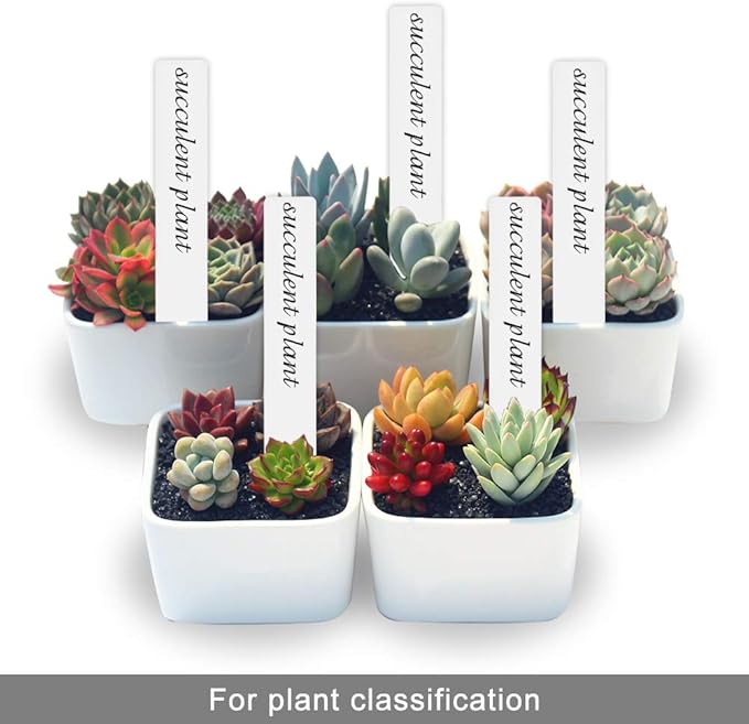 SumDirect Plastic Plant Labels, 100pcs 6 Inch White Waterproof Plant Name Tags for Nursery Garden Labels Markers Seedlings Plant Tags Tree Stake Tags