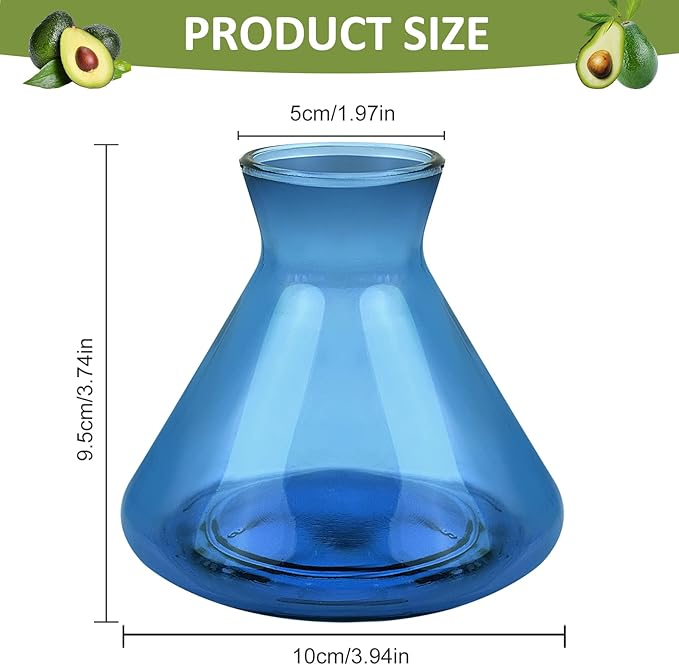 1 PCS Avocado Seed Starter Vases, Avocado Tree Growing Kit Acorn Bulb Vase Grow Glass Avocados Pit Planter Pot Blue Hydroponics Container for Gardening Lover