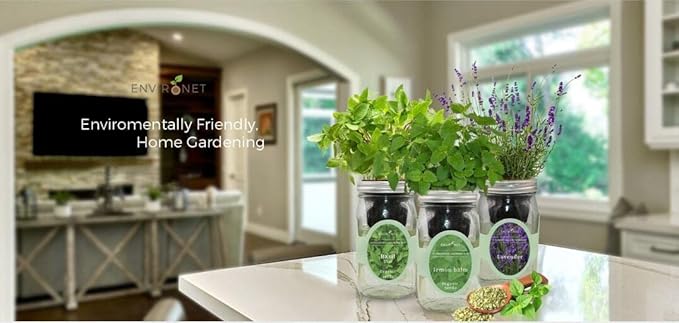 Hydroponic Growing Kit, Self-Watering Mason Jar Herb Garden Starter Kit Indoor, Windowsill Herb Garden, Grow Your Own Herbs from Organic Seeds (Basil)