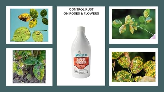 Nature's IQ Copper Fungicide. Controls powdery Mildew, Black spot, and Rust! for use on Roses, Flowers, ornamentals, Fruits, Vegetables, and lawns. Concentrate 16oz.
