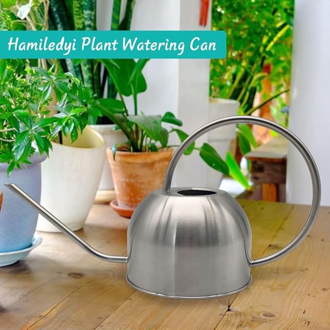 Hamiledyi 50 oz/1500 ml Stainless Steel Watering Can with Long Spout Metal Watering Can Indoor Outdoor Flower Watering Pot for Garden Orchid Bonsai Office Desk Plants (Silver)