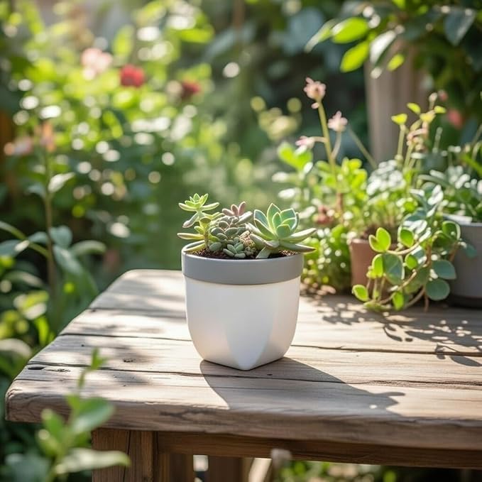 Hosley Set of 2 Grower Versa Pot Grey 5" Dia x 4.75" H. Ideal Gift for Floral Arrangements Wedding Party Home Decor Office Spa O9