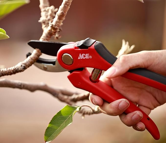 Ace" Anvil Pruning Shear8"