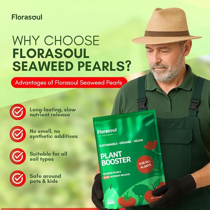 Florasoul® Slow Release Organic Seaweed Pearls 6.6lbs-550ft2, Concentrated Vegan Formula, Up to 30% More Growth/Harvest, 3-Month Sustained Nutrient Feed for Gardenbed, Lawns. Pet-Friendly