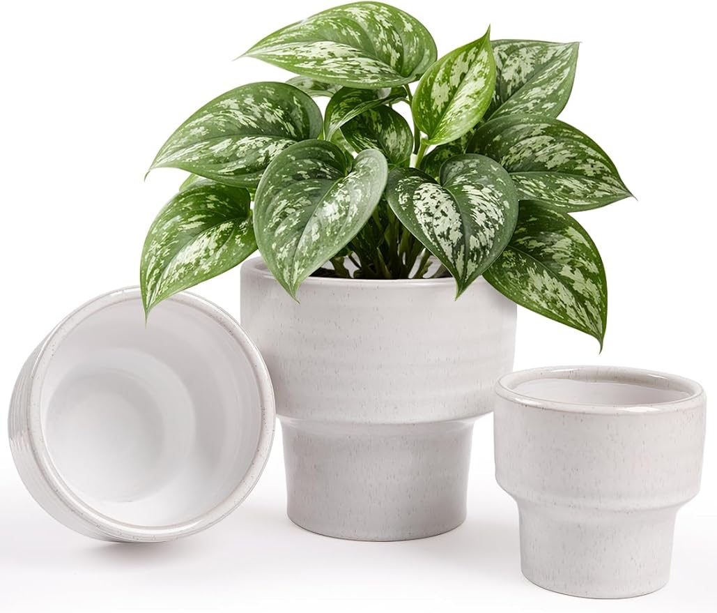 INGOFIN Ceramic Planter Pot Set of 3, 4/5/6 Inch Indoor Decorative Cachepot for Pothos & Succulents, No Drainage Hole, Modern Architectural Plant Display for Contemporary Home Decor, Pockmarks White