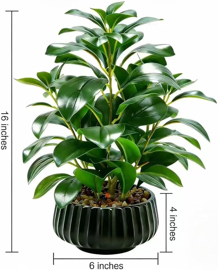 16" Artificial Peperomia Potted Plant in Black Ribbed Ceramic Planter Realistic Faux Green Leaves Tabletop Branches for Indoor Home Office Living Room Shelf Desk Decor