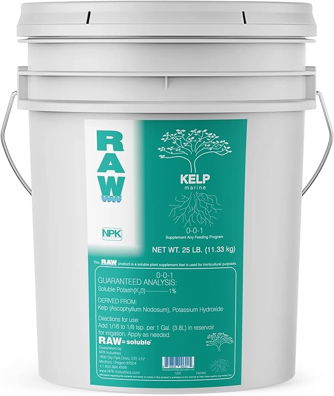 RAW Kelp – Premium Ocean-Derived Kelp Extract