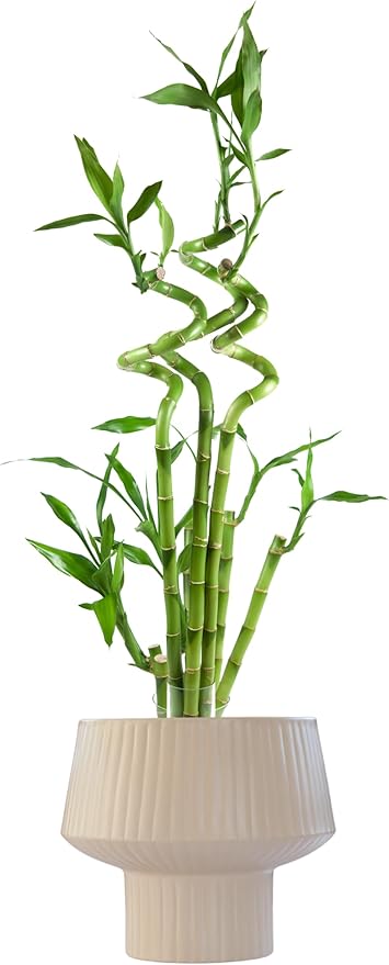 Wide Top Modern Handmade Metal Indoor Planter with Unique Shape, Vertical Grooved Design and Anti-Scratch Pads, Rust-Resistant Finish that is Sustainable Non-Plastic Pot Recyclable Metal Vase (White)