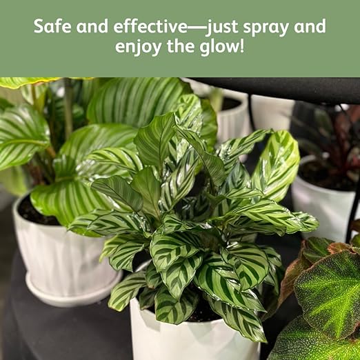 Chrysal LeafShine Spray for Indoor Plants (25oz 3 Pack)
