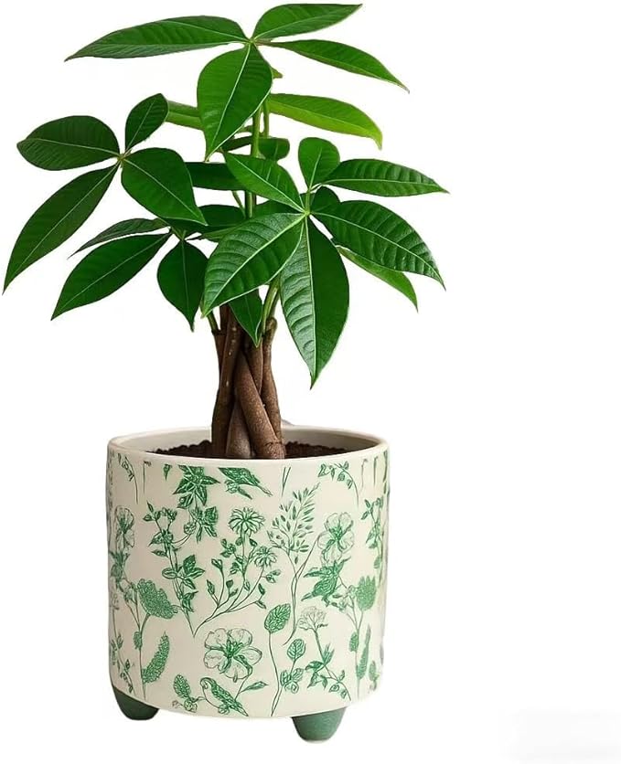 RYKEEN Ceramic Plant Pot with Small Flower Pot with Drainage Indoor Outdoor Decorative Pottery Planter Plant Lover Gifts for Small Plant, Party,Table,Office,Kitchen (Green)