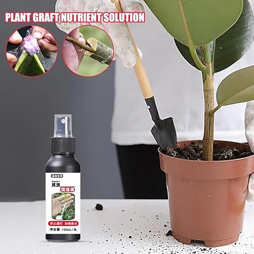 100ml Plant Activation Solution, Plant Growth Enhancer Succulent Root Booster Indoor Plant Fertilizer Plant Nutrient Solution (1Pcs)