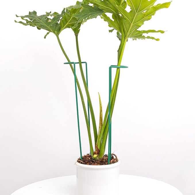 10 Pack Monstera Support Indoor Plant Support Stakes for Large Plants and Climbing Vines | Plant Supports for Outdoor and Indoor Use | Ideal Garden Flower Stem Holder Trellis for Plant Lovers