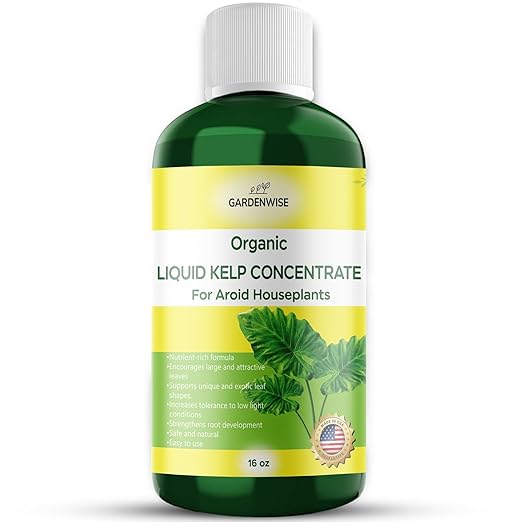 GARDENWISE Organic Premium Seaweed Fertilizer - Liquid Kelp Plant Food for Aroid Houseplants: Monstera, Philodendron, Pothos, ZZ Plant, Dieffenbachia, Alocasia, Caladium (16 OZ)