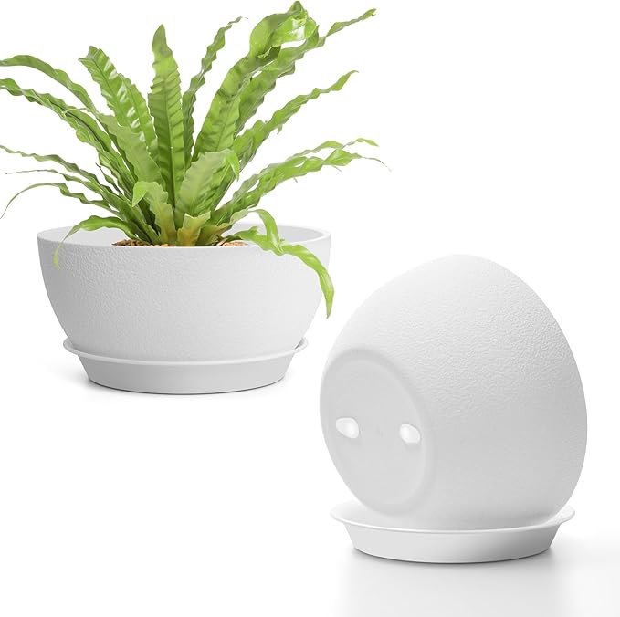 T4U 8 Inch Plant Pots 2 Pcs, Flower Pots for Plants, Plastic Planter Pots for Indoor Plants with Drainage Holes and Saucer (2 Pcs, 8", White)