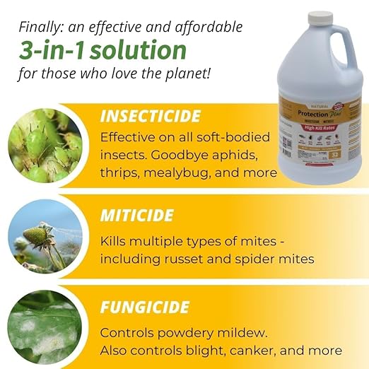 Environmental Plant Management Protection Plus Ready To Use | Oil-Free Contact Insecticide for Plants | Kill Aphids, Whiteflies, Spider Mites & Other Soft-Bodied Pests | Natural | Indoor & Outdoor Use