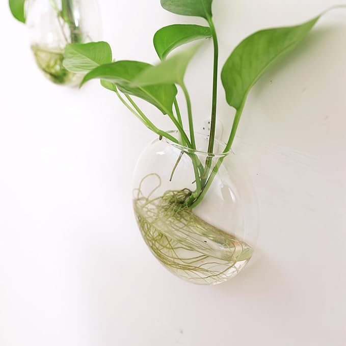 Kingbuy Wall Hanging Glass Planter Propagation Station - 2 Pack Oblate Globe Wall-Mounted Vases for Indoor Hydroponic Air Plants Bathroom Living Room Office Decor Gift for Women, Mom, Plants Lovers