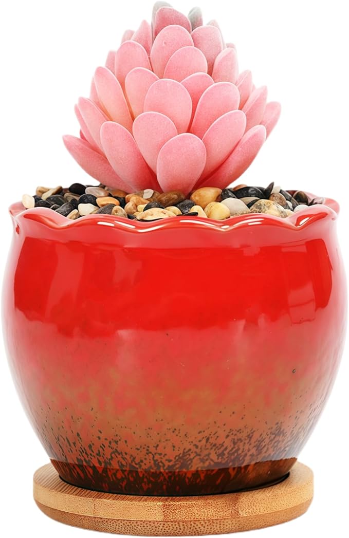 Cute Circular Ceramic Home Garden Decoration Succulent Cactus Flower Pots Container with Bamboo Tray -Plant Not Included (Red, 3.9 Inch)