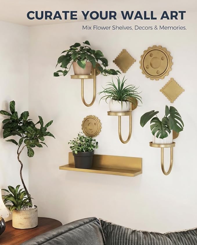 Bamworld Wall Plant Holder Wall Planters for Indoor Plants Plant Hanger Indoor Window Plant Shelves Hanging Plant Holder Window Plant Hanger Plant Decor Golden 3pcs