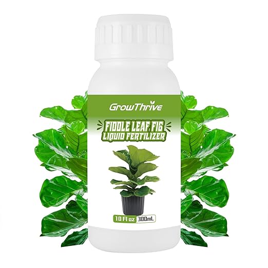 Organic Fiddle Leaf Fig Fertilizer Liquid - 10oz Microbial Probiotic Plant Food for Ficus Lyrata - Promotes Roots & Greener Leaves