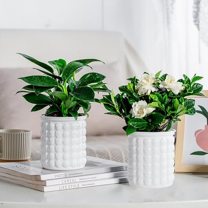 2PCS Self Watering Planters 4.7 Inch Self Watering Pots for Indoor Plants, African Violet Pots with Wick Rope, Flowers, Succulents, Herb, House Plants (White)