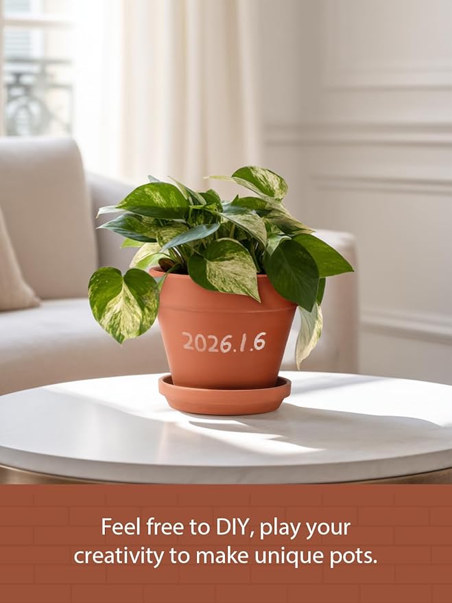 INGOFIN Terracotta Pots Set with Saucer - 2-Pack Ceramic Clay Planters with Drainage Hole, Garden Flower Succulent Pots with Tray for Indoor Outdoor Plants, 8 inch, Set of 2