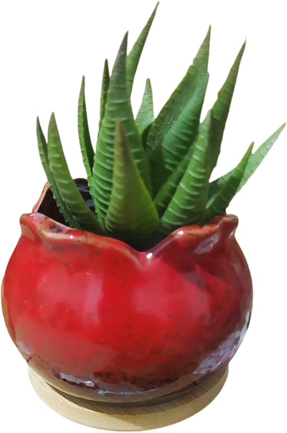 Cute Circular Ceramic Home Garden Decoration Succulent Cactus Flower Pots Container with Bamboo Tray -Plant Not Included (Red, 4 Inch)