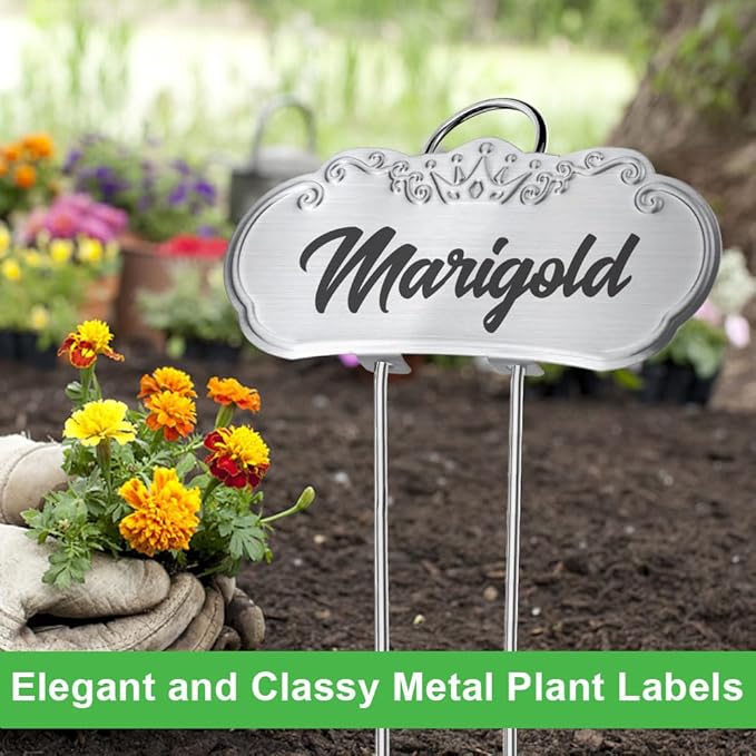 50 Packs Metal Plant Labels, Tall Outdoor Garden Markers for Flowers, Fruits and Vegetables, 304 Stainless Steel Weatherproof Signs (4" x 1.9", Silver)