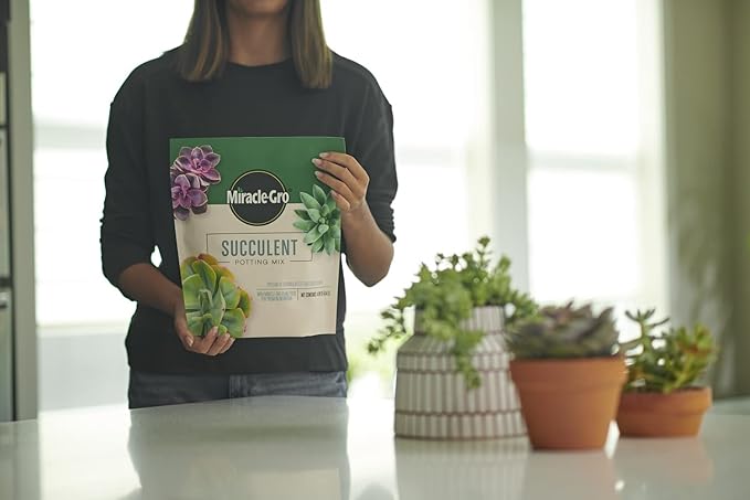 Miracle-Gro Succulent Potting Mix - Potting Soil Mix for Indoor Succulents, Aloe Vera and More, Made with Miracle-Gro Plant Food, 4 qt. (2-pack)