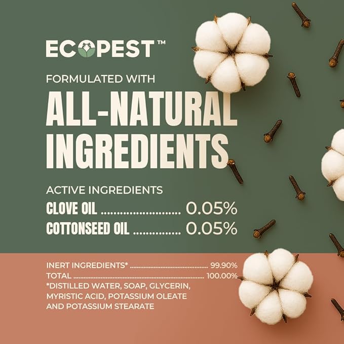 Boxelder Bug & Asian Lady Beetle Spray – Natural, Plant-Based Indoor & Outdoor Killer | Non-Staining, Safe for Doors, Windows, Siding & Baseboards | Child & Pet Safe, Low Odor, Eco-Friendly (1 Gallon)