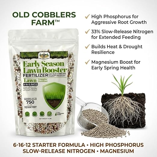 Old Cobblers Farm Wicked Growth Early Season Lawn Booster 6-16-12 – Starter Lawn Fertilizer for Strong Root Development (5 lbs | 10 lbs | 15 lbs | 20 lbs) (5 lbs)