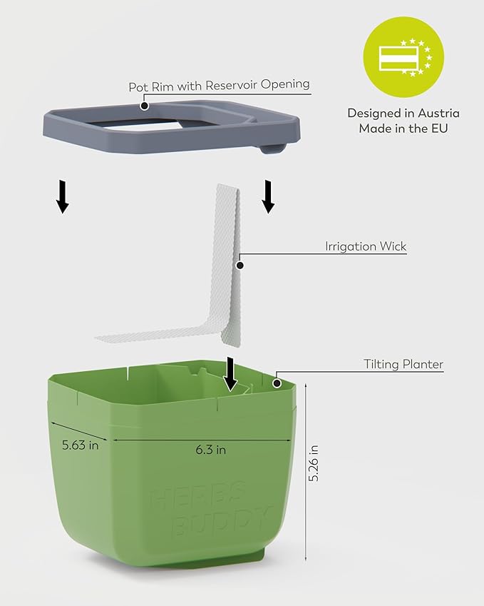BUZZY Seeds Herb Buddy Self-Watering Herb Planter with Water Level Indicator – Indoor Kitchen & Windowsill Planter (Green)