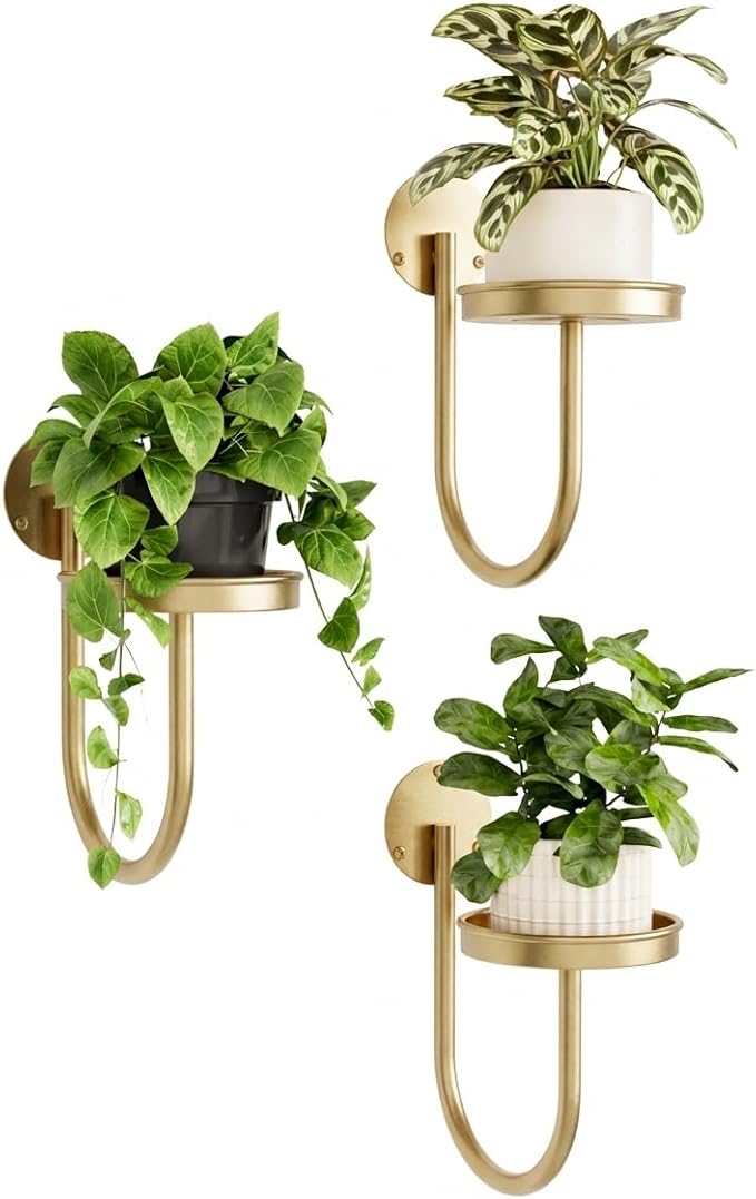 Bamworld Wall Plant Holder Wall Planters for Indoor Plants Plant Hanger Indoor Window Plant Shelves Hanging Plant Holder Window Plant Hanger Plant Decor Golden 3pcs