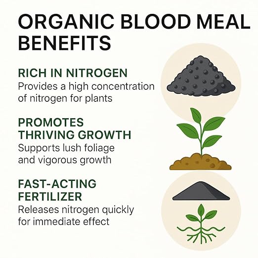 𝐁𝐄𝐒𝐓𝐒𝐄𝐋𝐋𝐄𝐑 Organic Blood Meal Fertilizer by Gardenera - 12-0-0 NPK - All-Natural Plant Food Source of Nitrogen for Organic Gardening, Flowers, Vegetables, Trees & Shrubs - 10 QUARTS