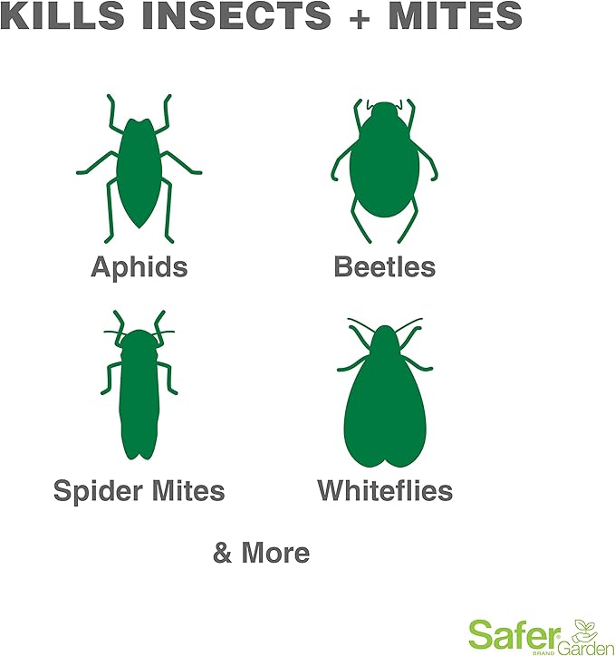 Safer Garden 3-in-1 Ready-to-Use Fungicide, Miticide, and Insecticide Spray, 24 oz Spray - Kills Insects & Mites - Controls & Prevents Fungal Diseases - SG5452 - OMRI Listed for Organic Gardening